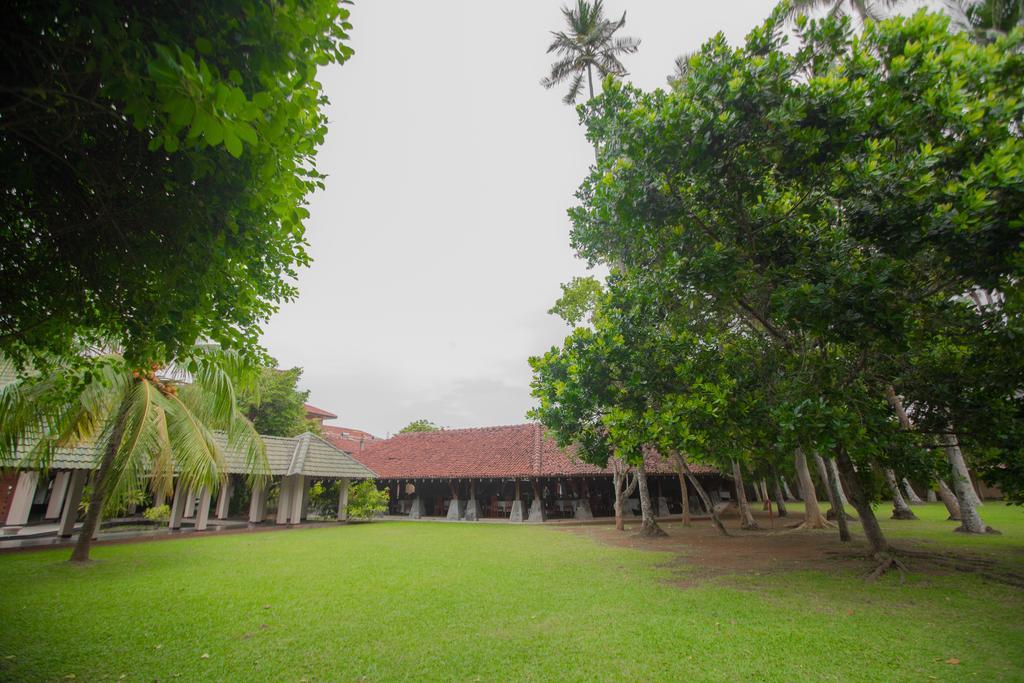 The Palms Hotel Beruwala Eksteriør billede